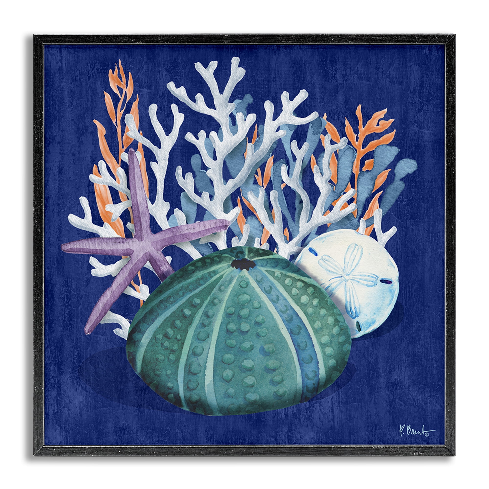 Stupell Industries Monterey Urchin & Coral Coastal Painting Gray Framed Art Print Wall Art, 24 x 24