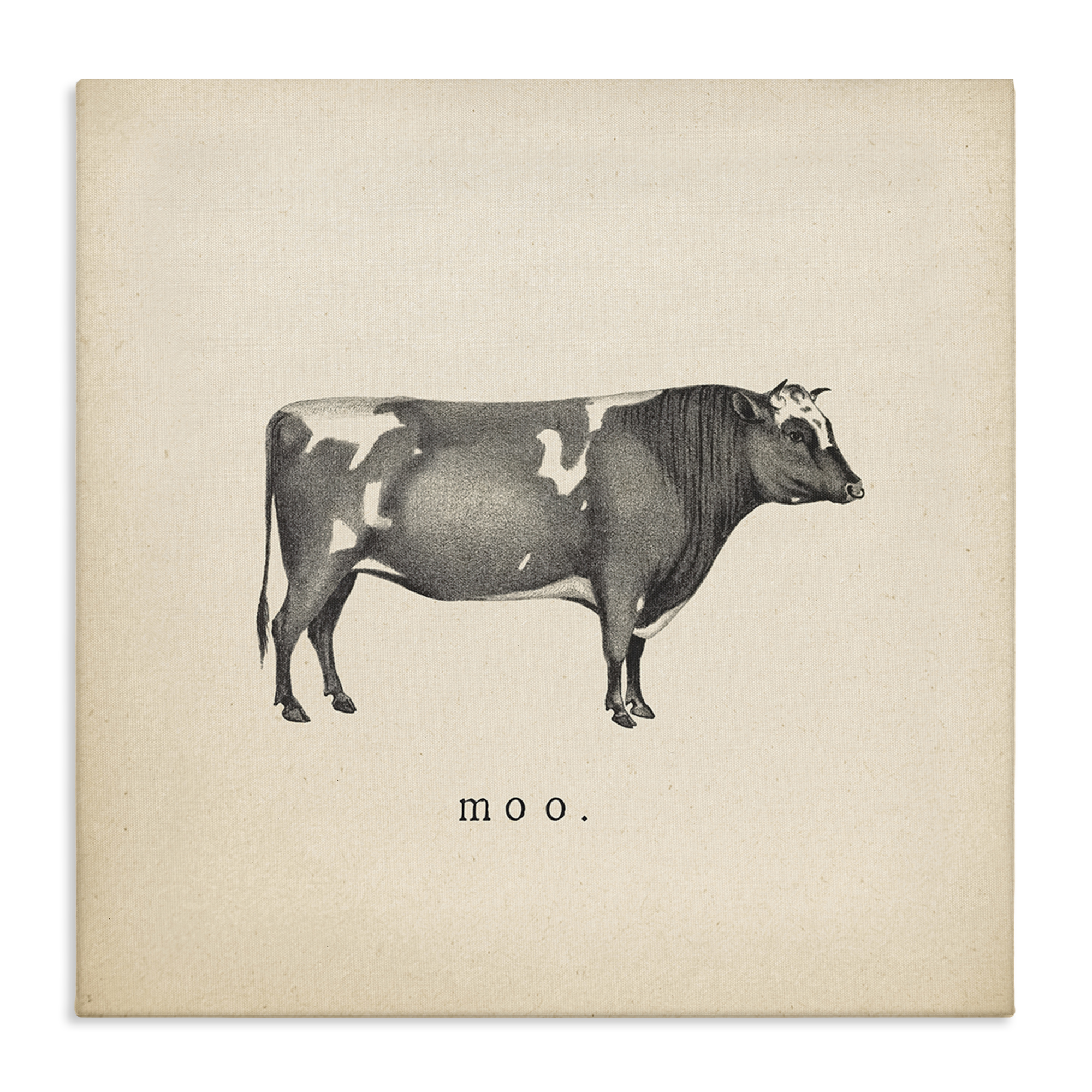Stupell Industries Moo Farm Cow Sounds Animals Painting Wrapped Canvas Art Print Wall Art, 30 x 30