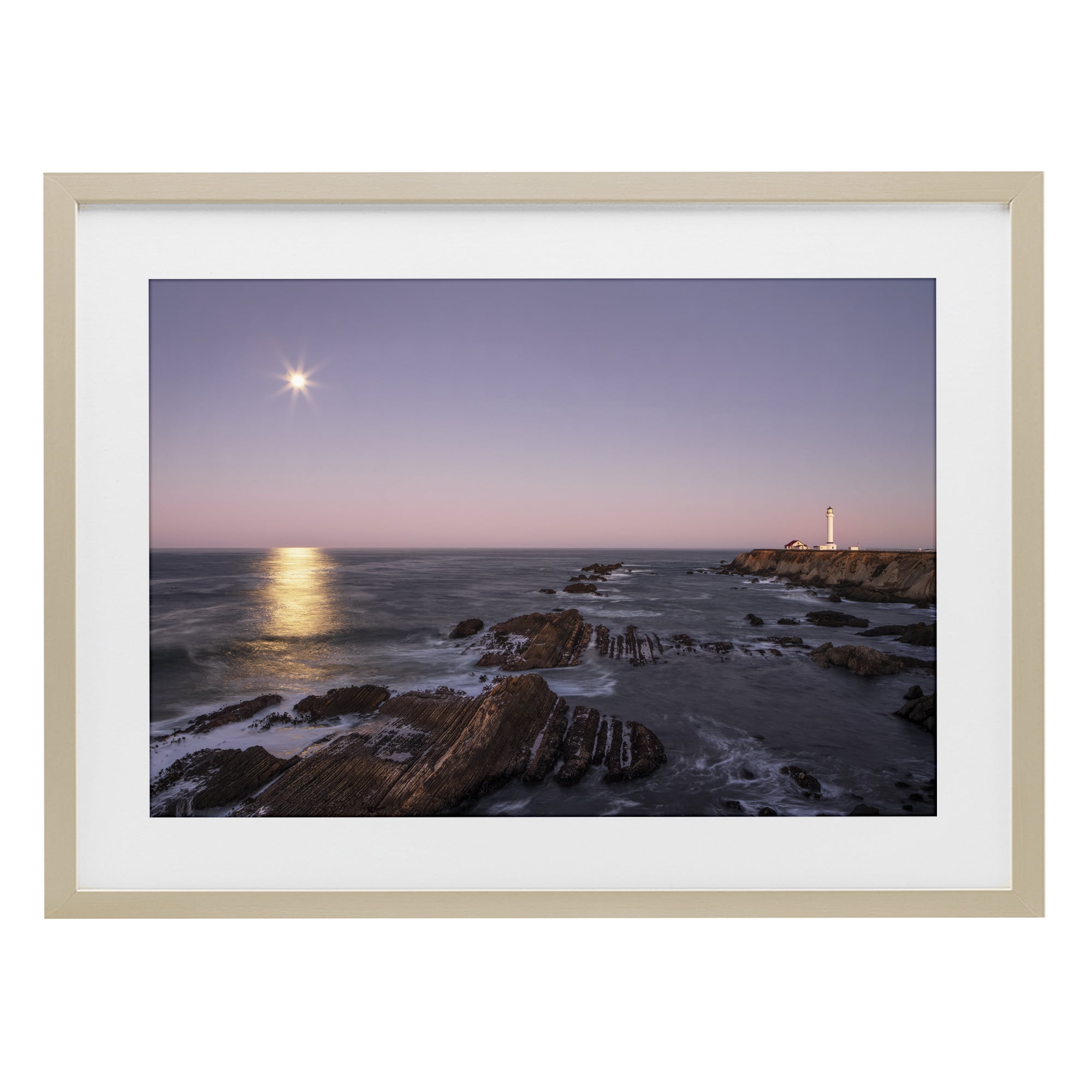 Stupell Industries Moon Arena Coastline Birch Framed Print Under Glass, design by Shelley Carlisle