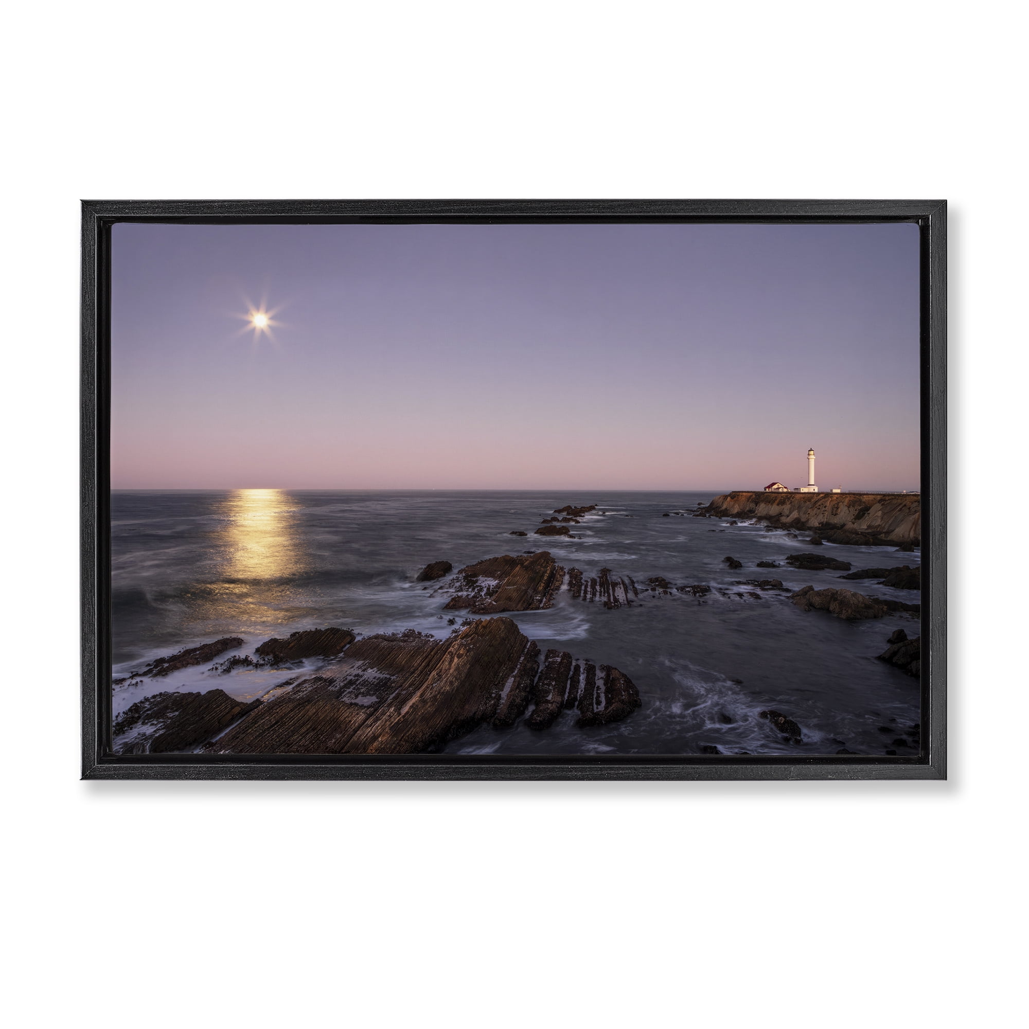 Stupell Industries Moon Arena Coastline Black Framed Floater Canvas Wall Art, design by Shelley Carlisle