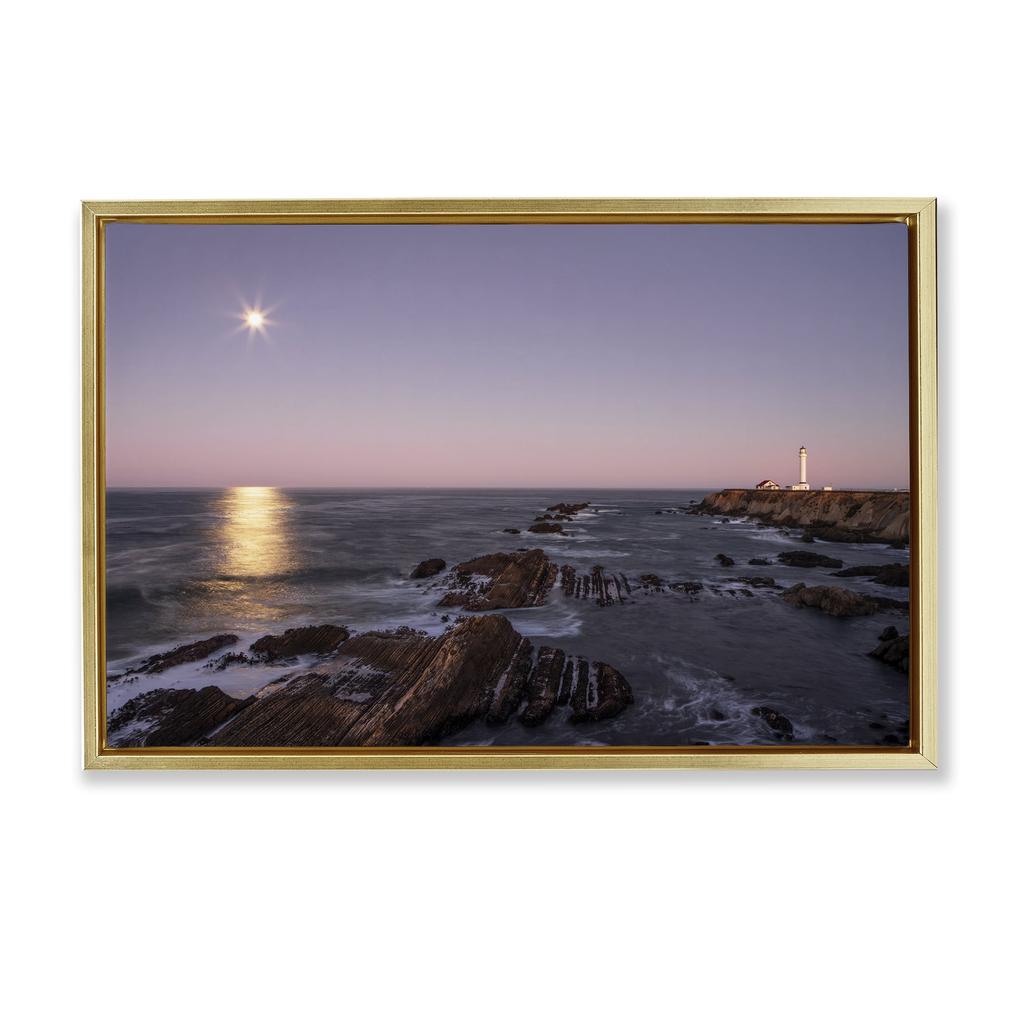 Stupell Industries Moon Arena Coastline Gold Framed Floater Canvas Wall Art, design by Shelley Carlisle