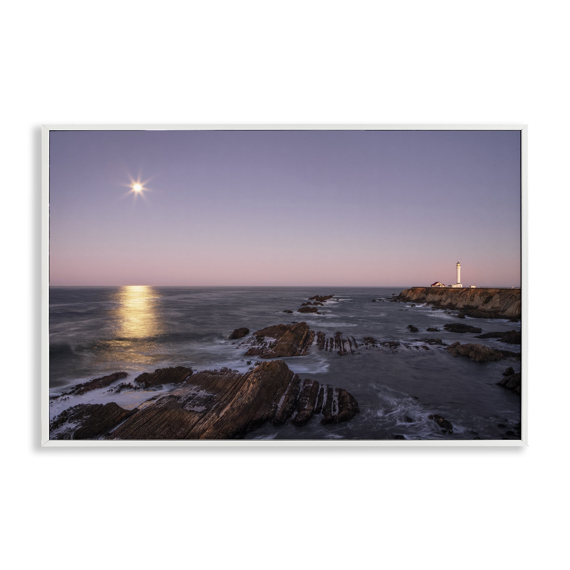 Stupell Industries Moon Arena Coastline White Framed Giclee Art, design by Shelley Carlisle