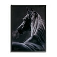 thumbnail image 1 of Stupell Industries Moonlit Horse Portrait Animals & Insects Painting Black Framed Art Print Wall Art, 11 x 14, 1 of 8
