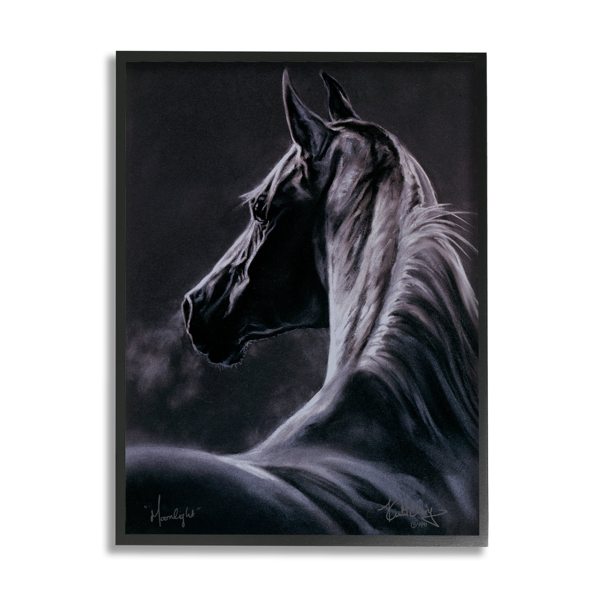 Stupell Industries Moonlit Horse Portrait Animals & Insects Painting Black Framed Art Print Wall Art, 16 x 20