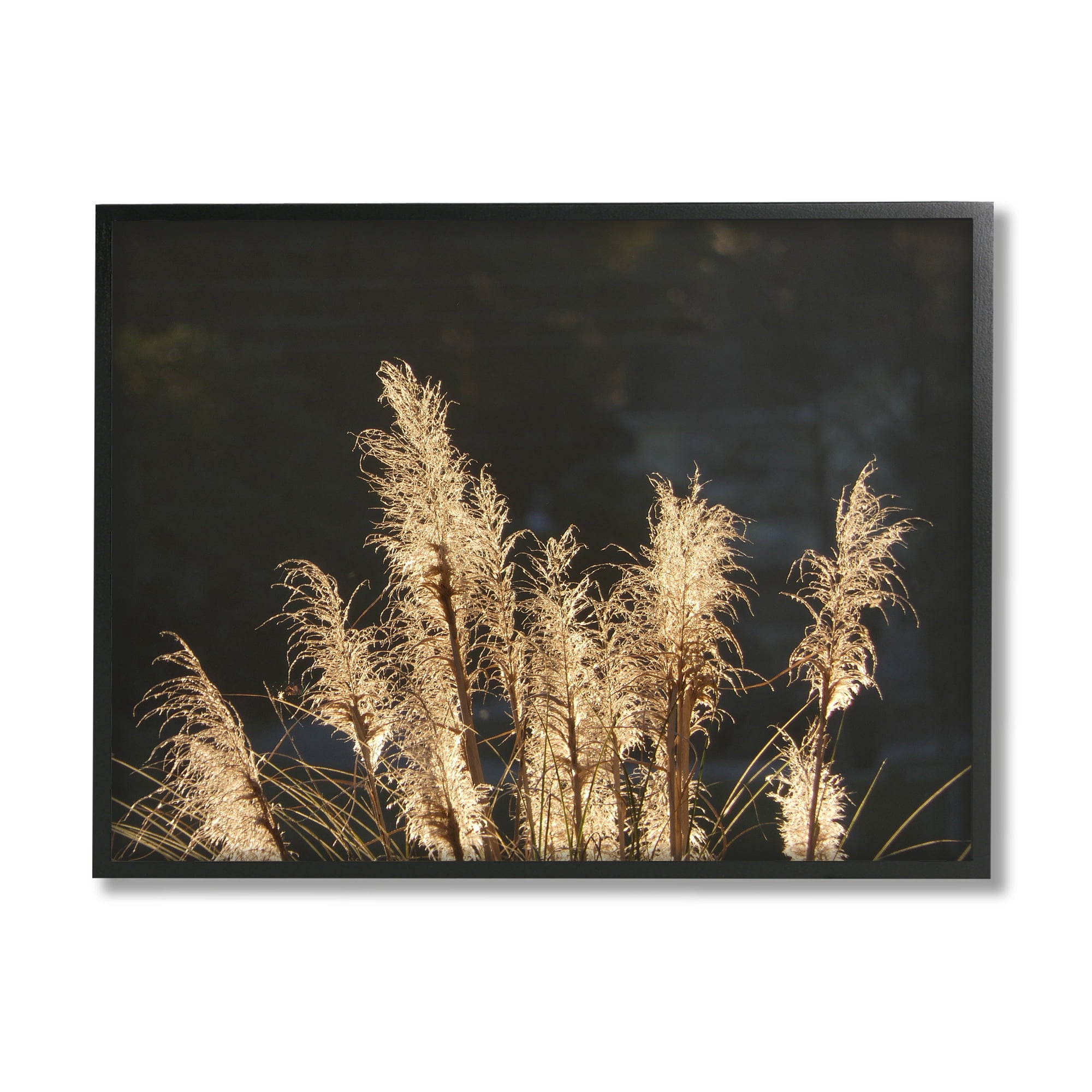 Moonlit Pampas Grass Black Framed Canvas Print, 25" x 32"