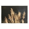 thumbnail image 1 of Stupell Industries Moonlit Pampas Grass Rural Reeds Plant Botanicals Photograph Unframed Art Print Wall Art, Design by Gail Peck, 1 of 5