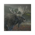 thumbnail image 1 of Stupell Industries Moose Dark Forest Landscape Animals & Insects Painting Gallery Wrapped Canvas Print Wall Art, 1 of 7