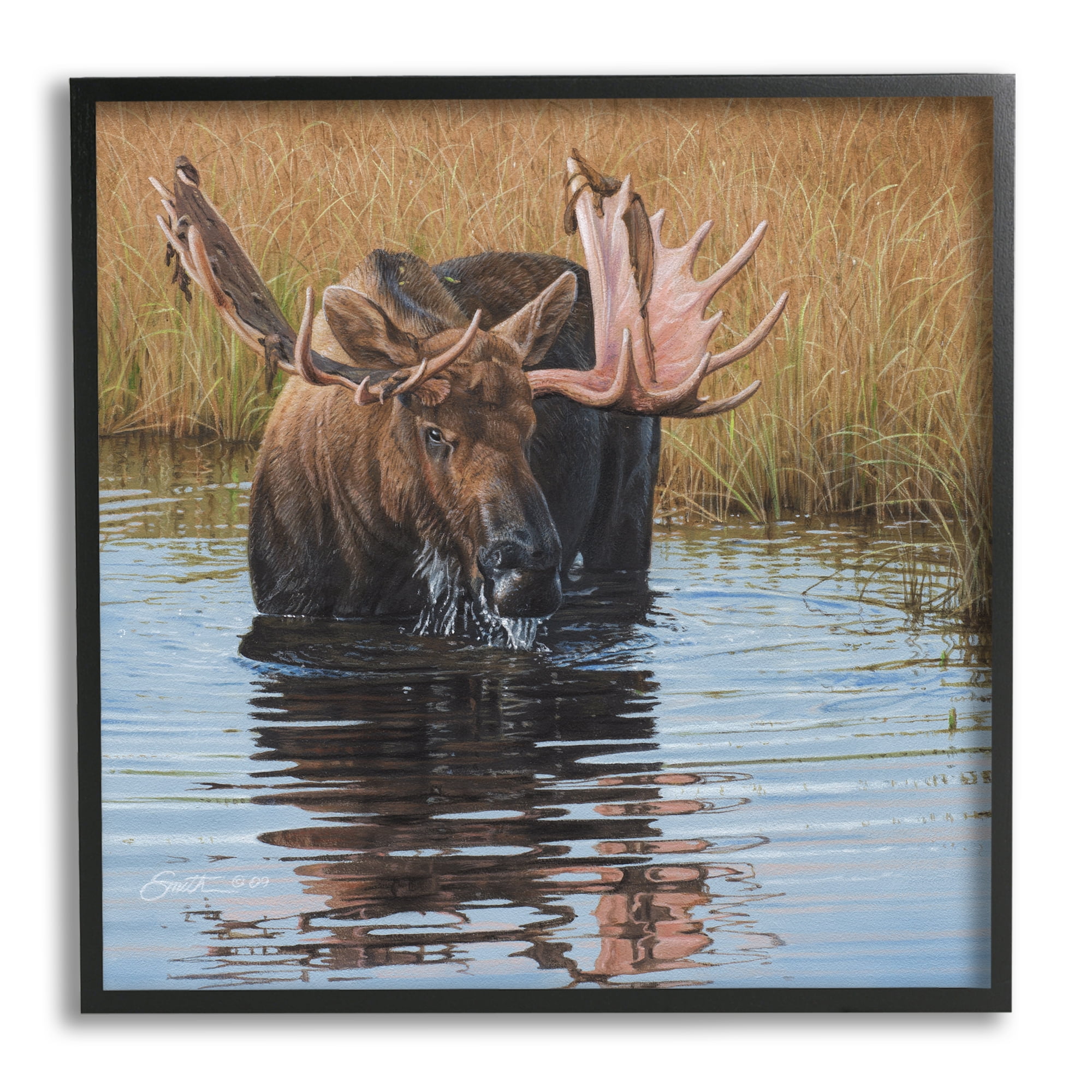 Stupell Industries Moose In Water Wildlife Scene Animals & Insects Painting Black Framed Art Print Wall Art
