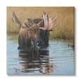 thumbnail image 1 of Stupell Industries Moose In Water Wildlife Scene Animals & Insects Painting Gallery Wrapped Canvas Print Wall Art, 1 of 5