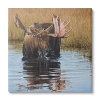 Stupell Industries Moose In Water Wildlife Scene Animals & Insects Painting Gallery Wrapped Canvas Print Wall Art