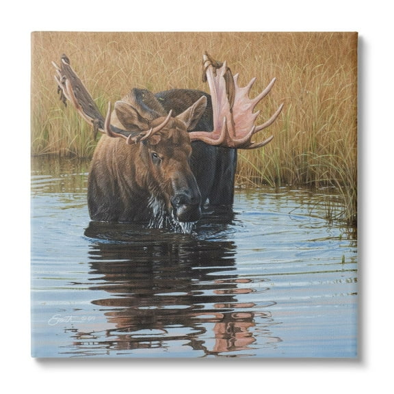 Stupell Industries Moose In Water Wildlife Scene Animals & Insects Painting Gallery Wrapped Canvas Print Wall Art