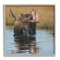 thumbnail image 1 of Stupell Industries Moose In Water Wildlife Scene Animals & Insects Painting Gray Framed Art Print Wall Art, 1 of 7