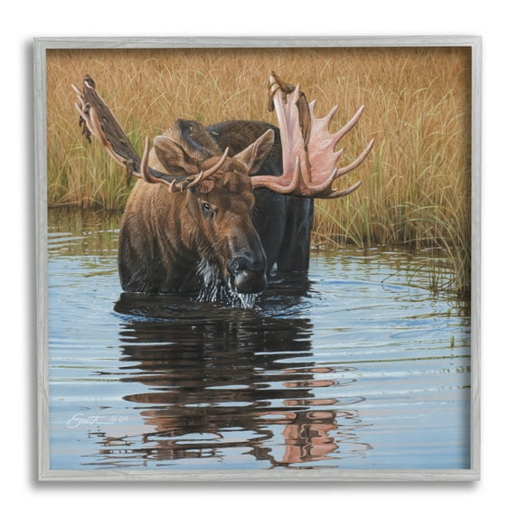 Stupell Industries Moose In Water Wildlife Scene Animals & Insects Painting Gray Framed Art Print Wall Art