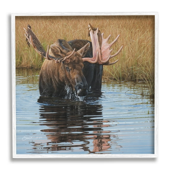 Stupell Industries Moose In Water Wildlife Scene Animals & Insects Painting White Framed Art Print Wall Art