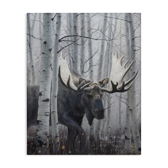 Stupell Industries Rustic Lodge Moose Peering in Birch Woods Canvas Art, 30 x 40, by James Corwin