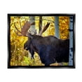 thumbnail image 1 of Stupell Industries Moose Photography Autumn Foliage Animals & Insects Photography Black Floater Framed Art Print Wall Art, 1 of 6