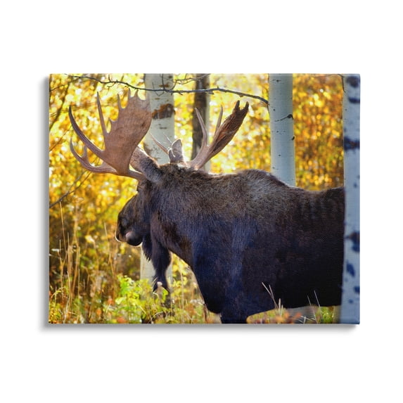 Stupell Industries Moose Photography Autumn Foliage Animals & Insects Photography Gallery Wrapped Canvas Print Wall Art