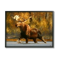 Stupell Industries Moose Stepping River Foliage Animals & Insects Photography Black Framed Art Print Wall Art, 14 x 11