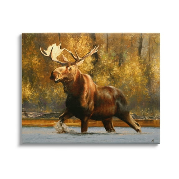 Stupell Industries Moose Stepping River Foliage Animals & Insects Photography Gallery Wrapped Canvas Print Wall Art, 20 x 16