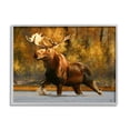 thumbnail image 1 of Stupell Industries Moose Stepping River Foliage Animals & Insects Photography Gray Framed Art Print Wall Art, 14 x 11, 1 of 8