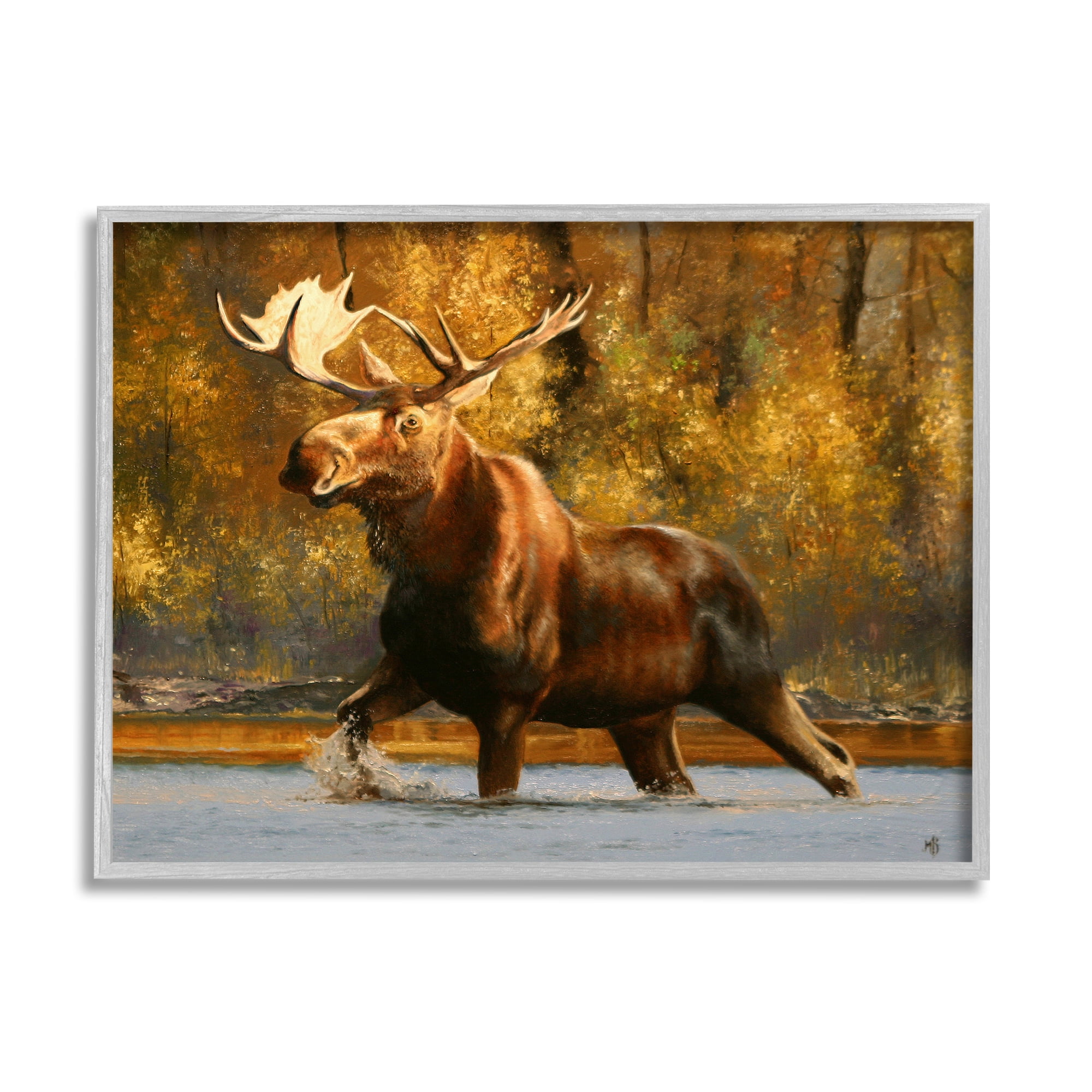 Stupell Industries Moose Stepping River Foliage Animals & Insects Photography Gray Framed Art Print Wall Art, 30 x 24