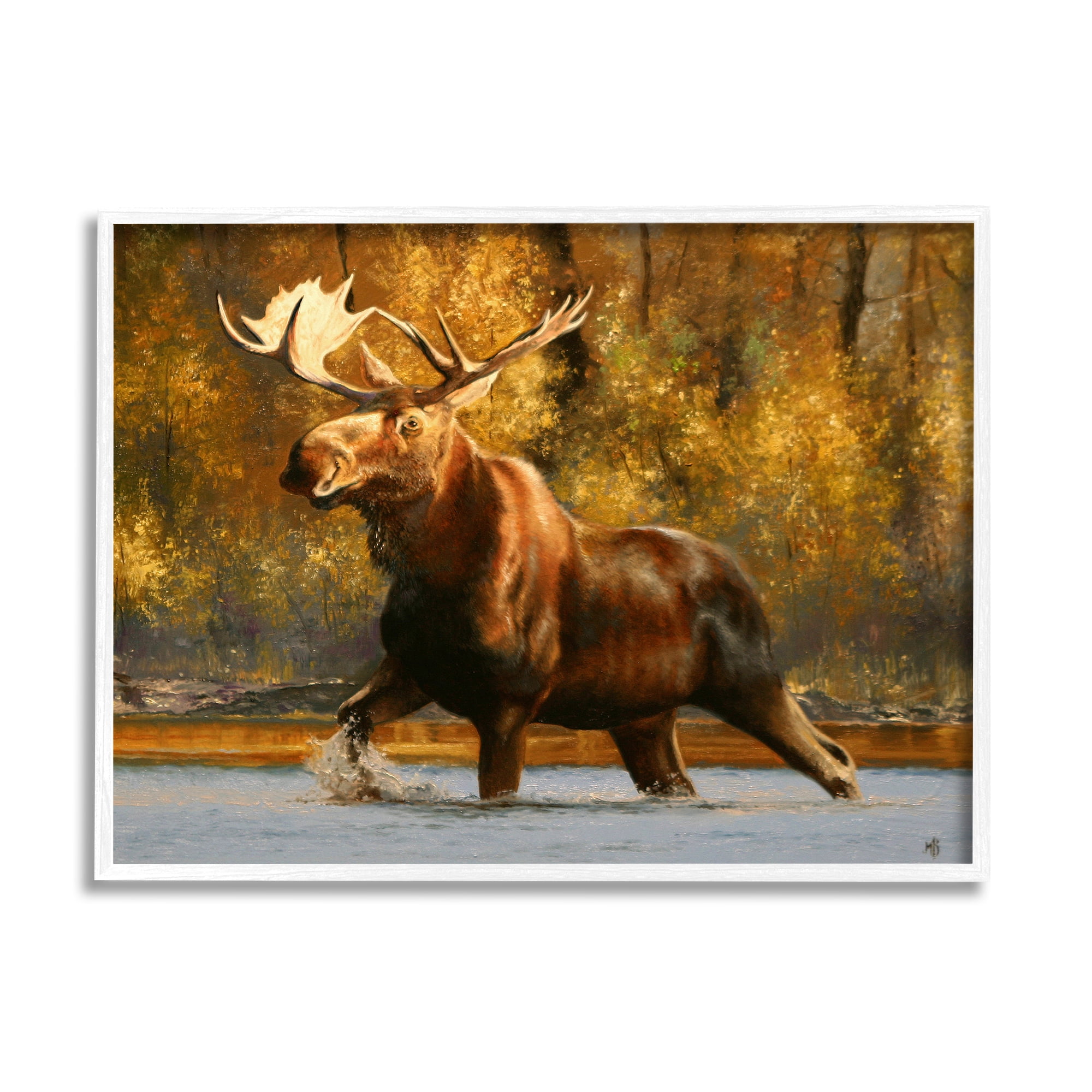 Stupell Industries Moose Stepping River Foliage Animals & Insects Photography White Framed Art Print Wall Art, 14 x 11