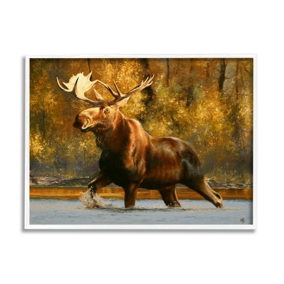 Stupell Industries Moose Stepping River Foliage Animals & Insects Photography White Framed Art Print Wall Art, 20 x 16