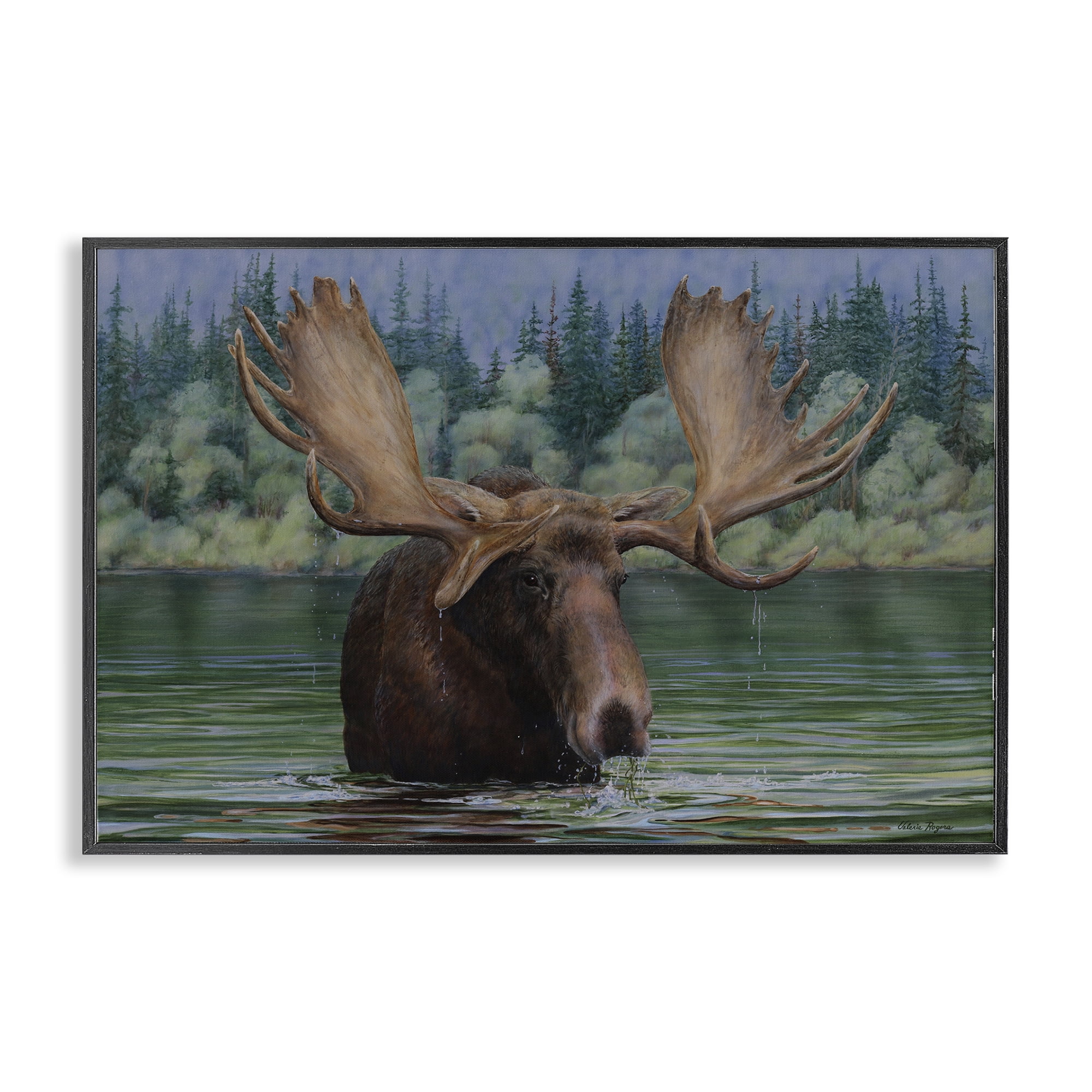 Stupell Industries Moose Swimming in Lake Animals Painting Black Framed Art Print Wall Art, 24 x 16