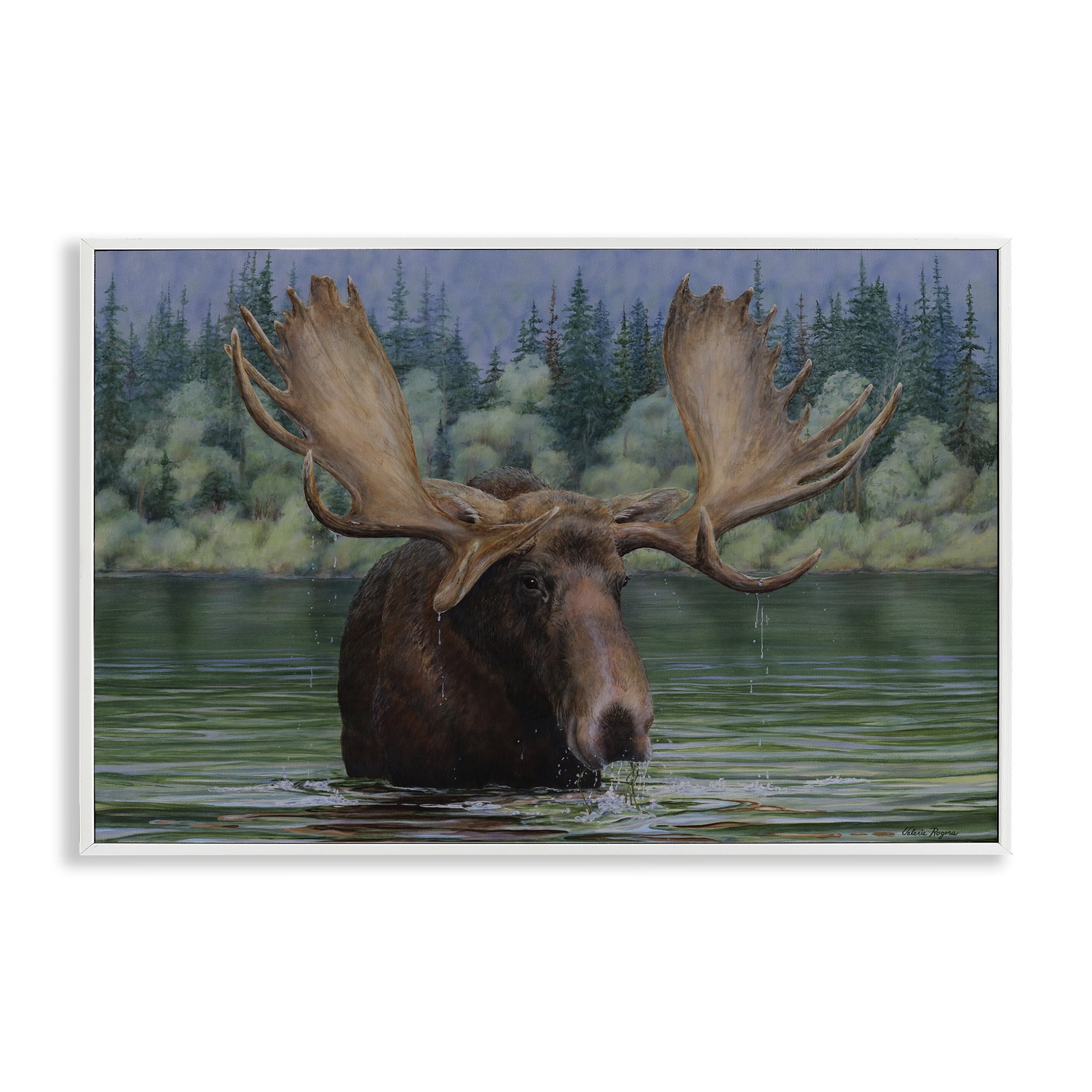 Stupell Industries Moose Swimming in Lake Animals Painting White Framed Art Print Wall Art, 30 x 20
