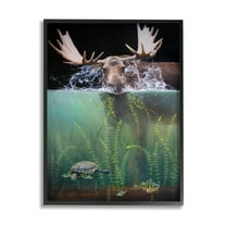 Stupell Industries Moose Underwater View Animals & Insects Painting Black Framed Art Print Wall Art, 11 x 14