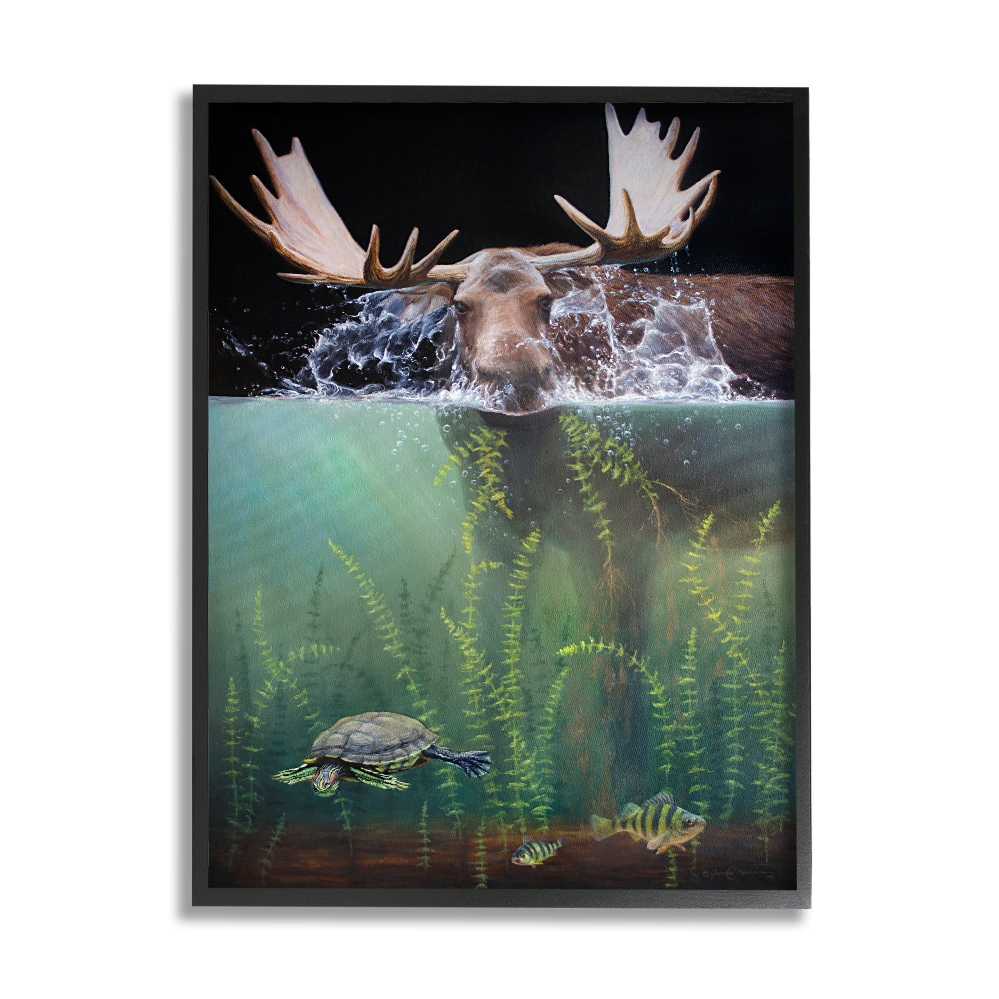 Stupell Industries Moose Underwater View Animals & Insects Painting Black Framed Art Print Wall Art, 16 x 20