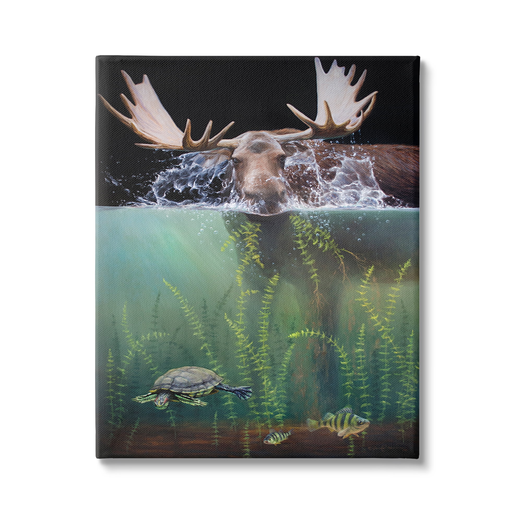 Stupell Industries Moose Underwater View Animals & Insects Painting Gallery Wrapped Canvas Art Print Wall Art, 16 x 20