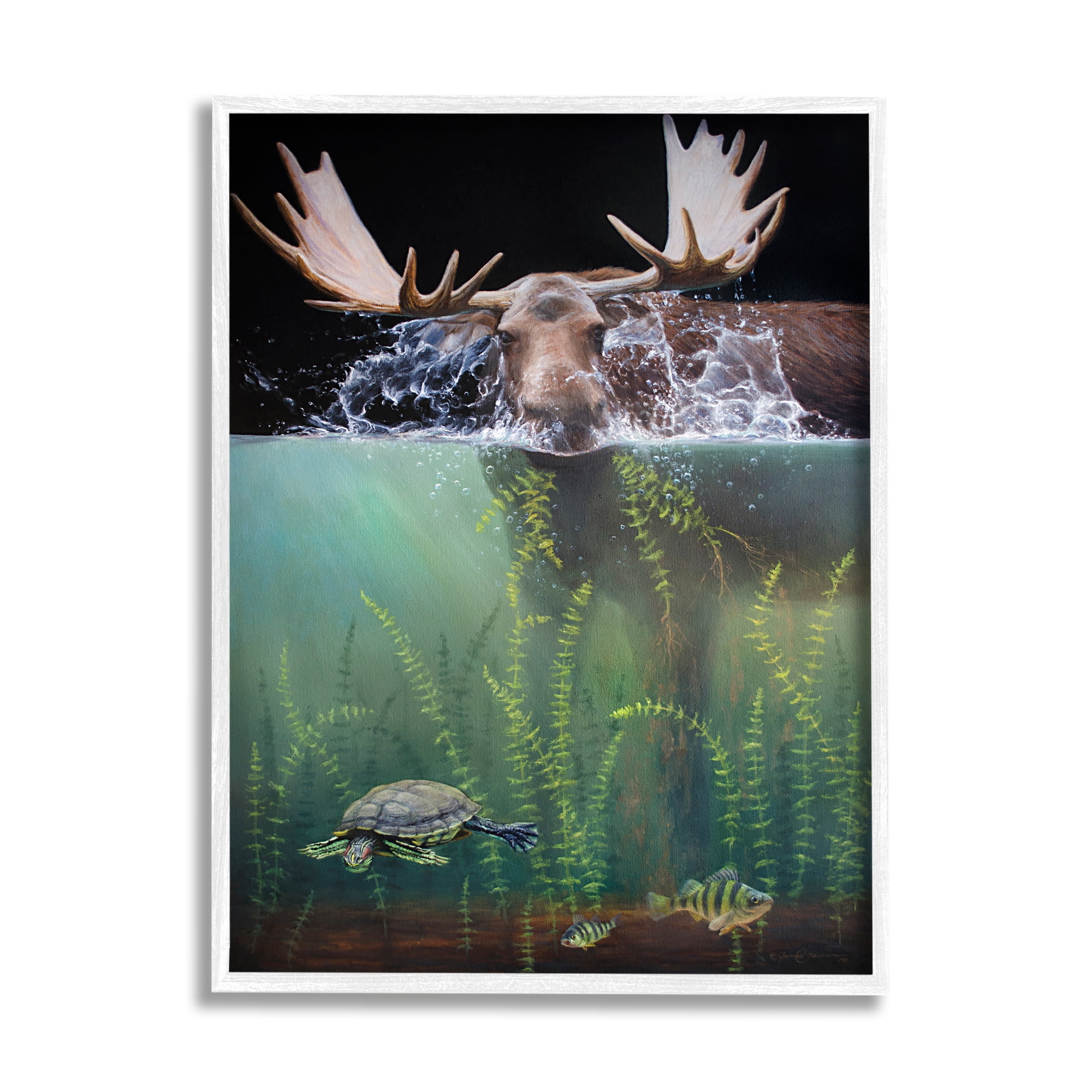 Stupell Industries Moose Underwater View Animals & Insects Painting White Framed Art Print Wall Art, 16 x 20