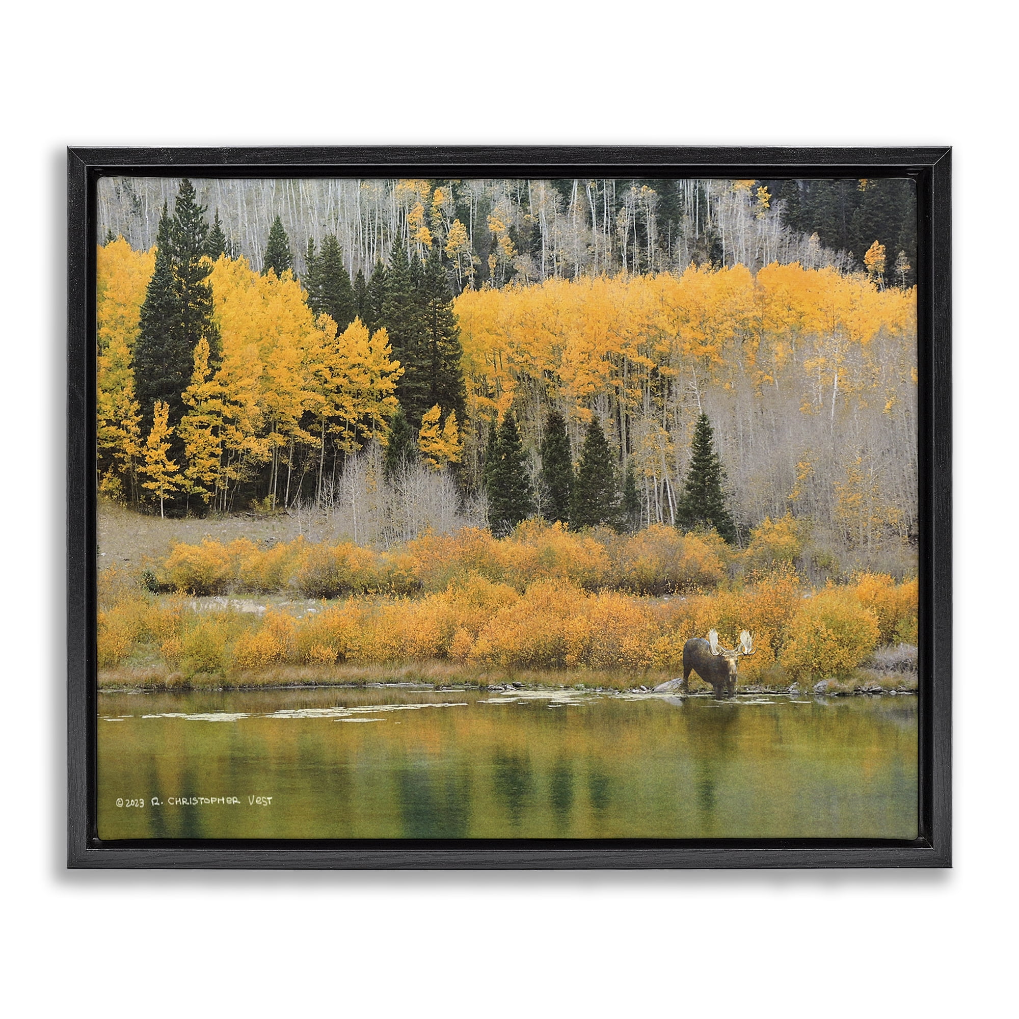 Stupell Industries Moose at Priest Lake Landscape & Nature Photography Black Floater Framed Canvas Art Print Wall Art, 21 x 17