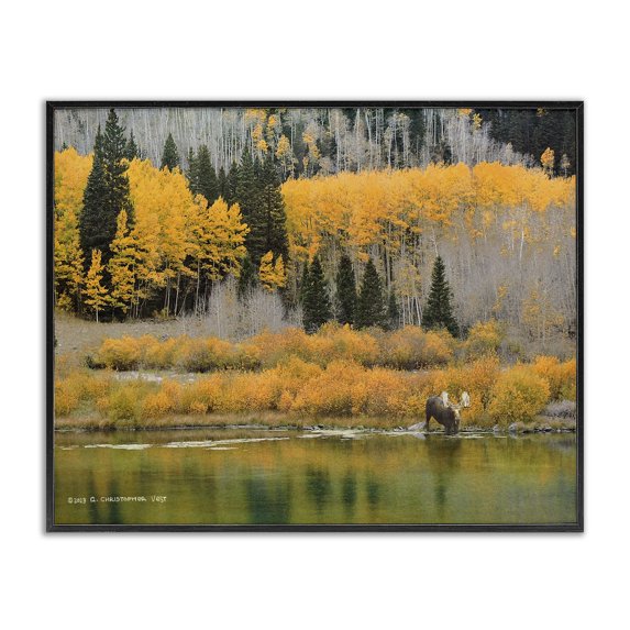 Stupell Industries Moose at Priest Lake Landscape & Nature Photography Black Framed Art Print Wall Art, 30 x 24