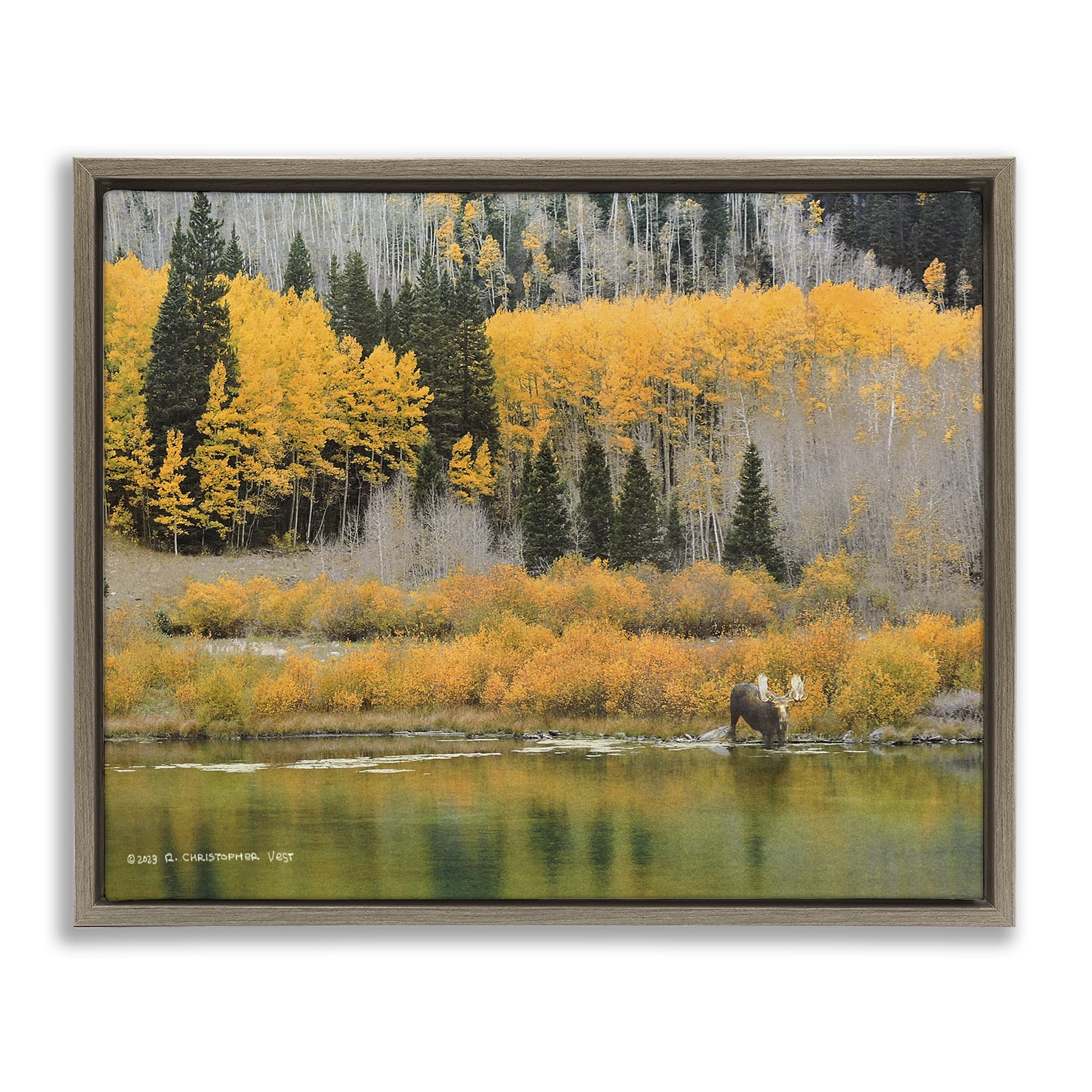 Stupell Industries Moose at Priest Lake Landscape & Nature Photography Brown Floater Framed Canvas Art Print Wall Art, 21 x 17