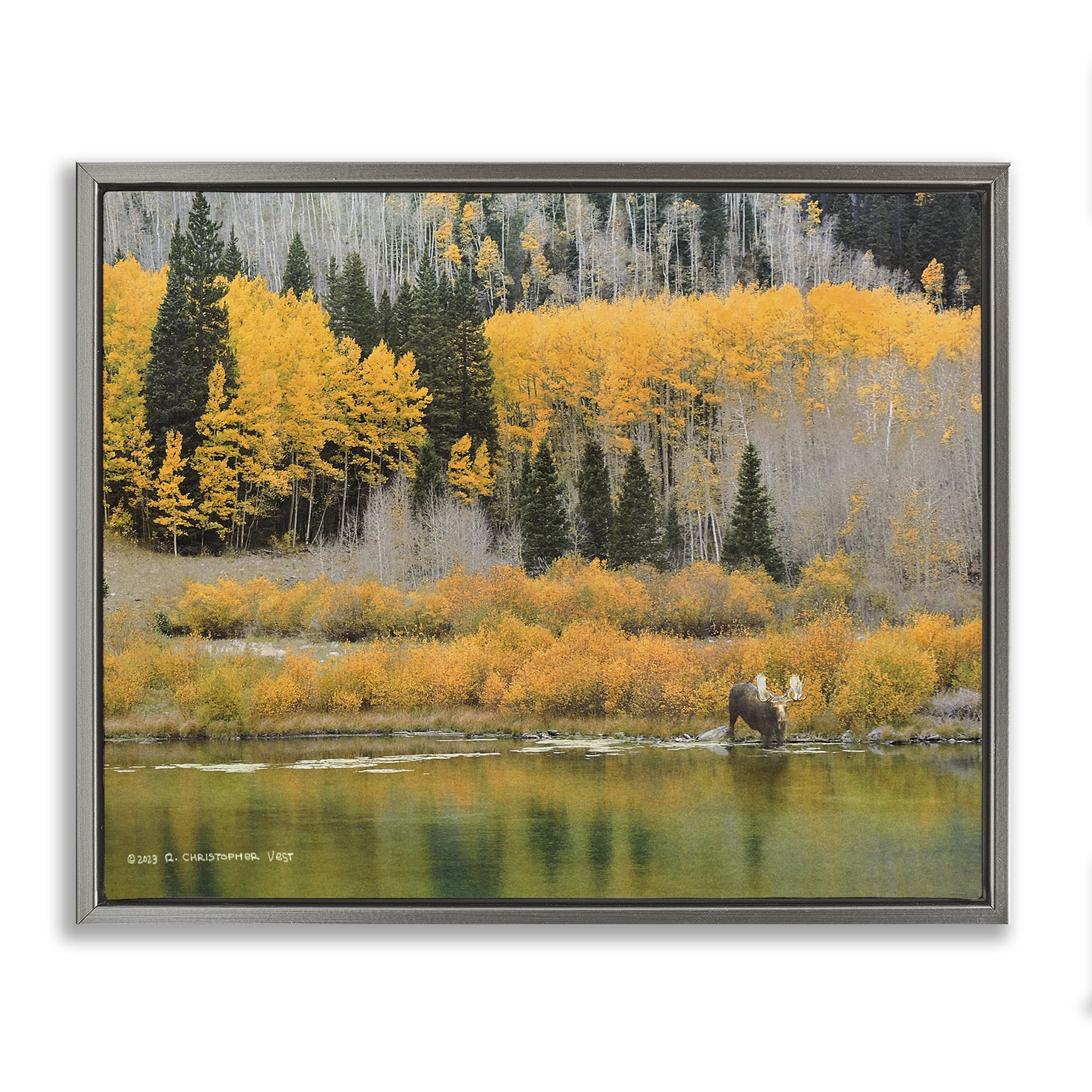 Stupell Industries Moose at Priest Lake Landscape & Nature Photography Gray Floater Framed Canvas Art Print Wall Art, 21 x 17