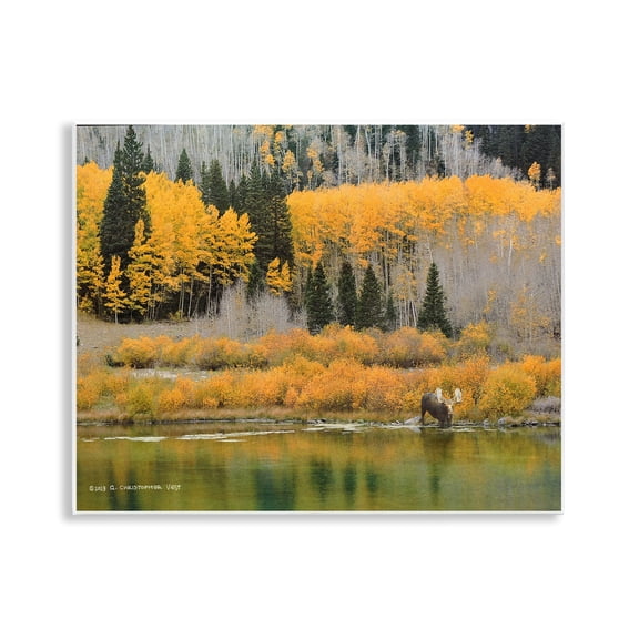 Stupell Industries Moose at Priest Lake Landscape & Nature Photography Unframed Art Print Wall Art, 14 x 11