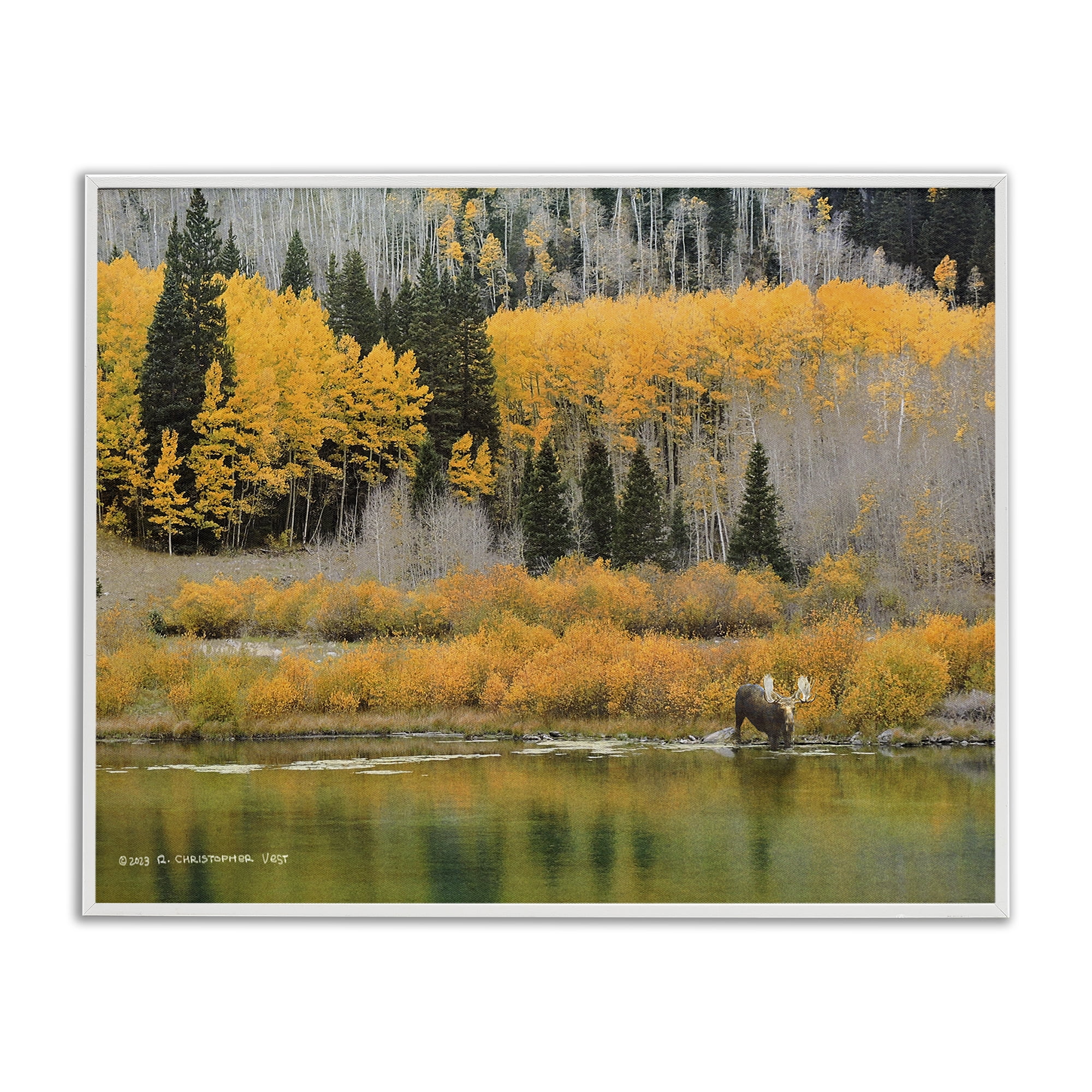 Stupell Industries Moose at Priest Lake Landscape & Nature Photography White Framed Art Print Wall Art, 20 x 16