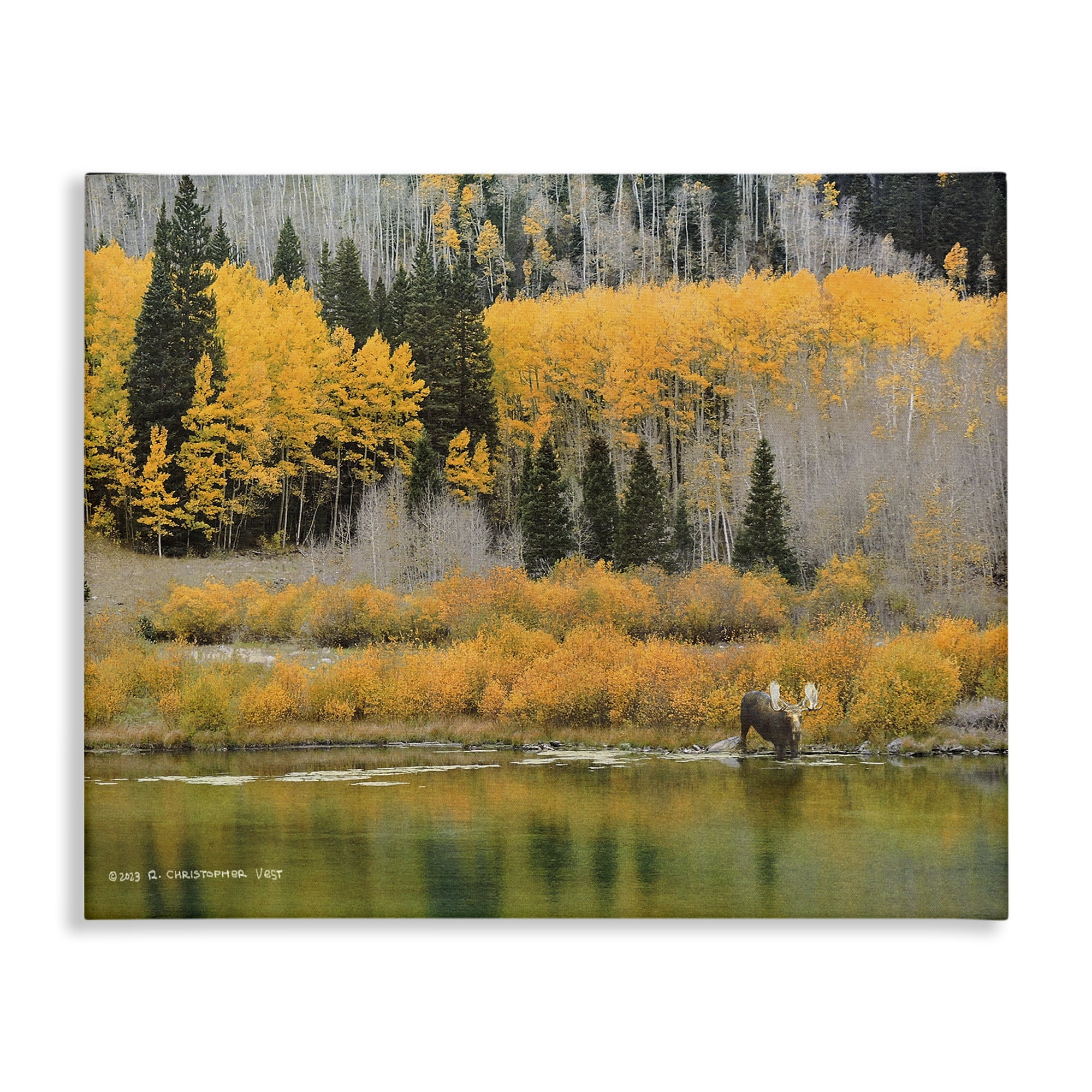 Stupell Industries Moose at Priest Lake Landscape & Nature Photography Wrapped Canvas Art Print Wall Art, 30 x 24