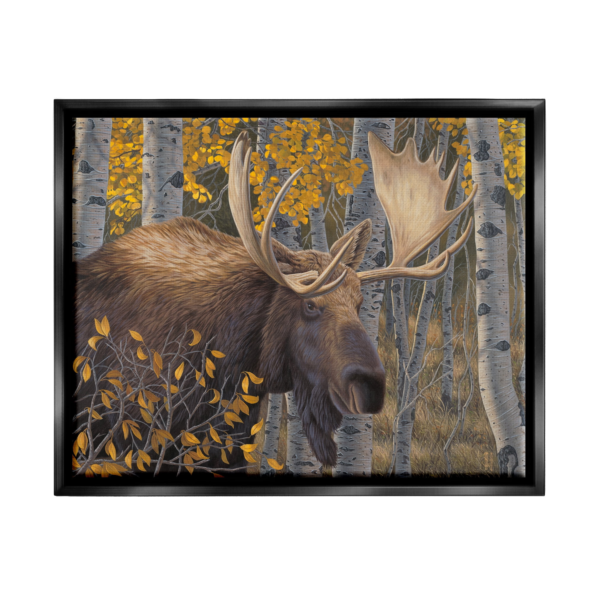 Stupell Industries Moose in Fall Foliage Animals & Insects Painting Black Floater Framed Canvas Art Print Wall Art, 21 x 17