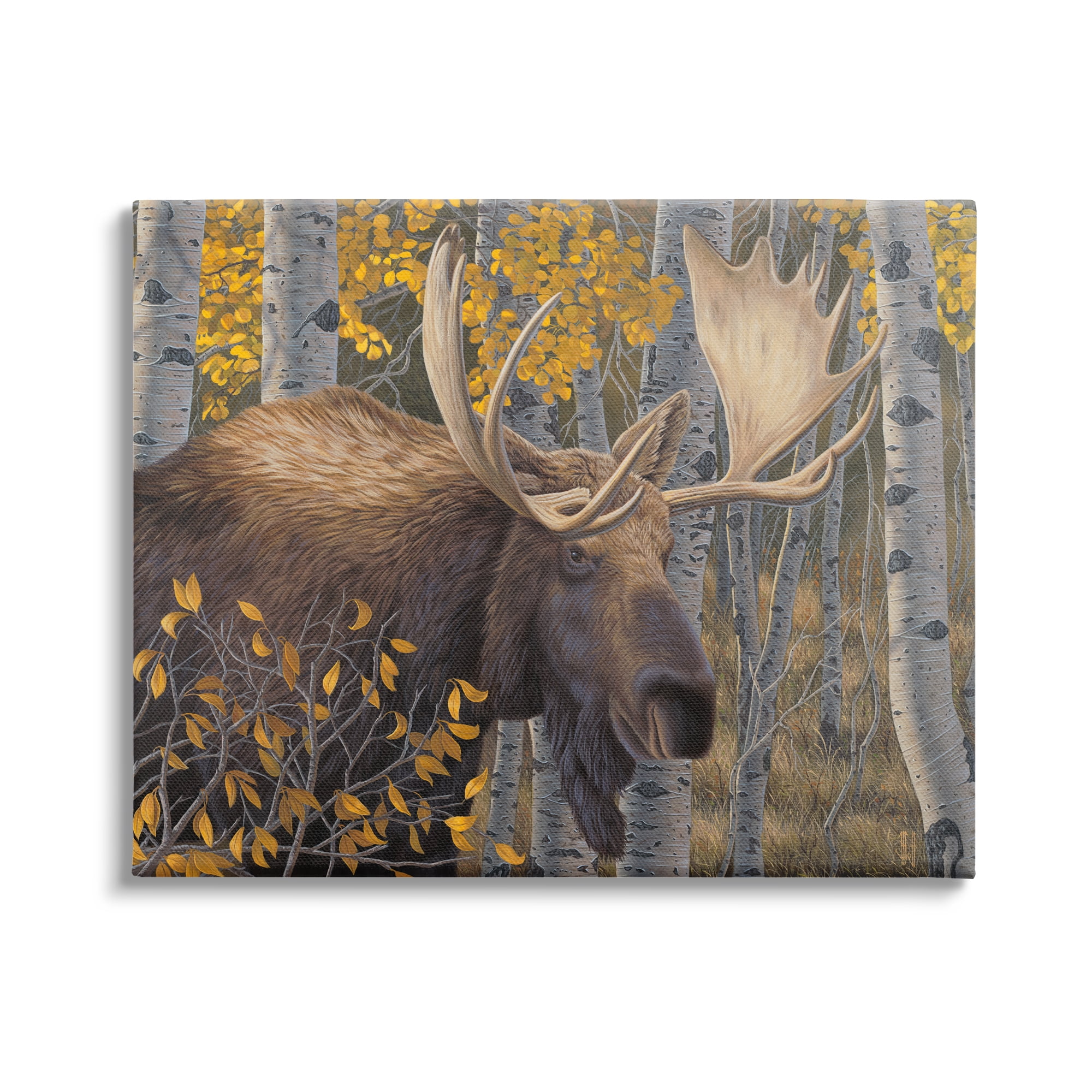 Stupell Industries Moose in Fall Foliage Animals & Insects Painting Gallery Wrapped Canvas Art Print Wall Art, 48 x 36