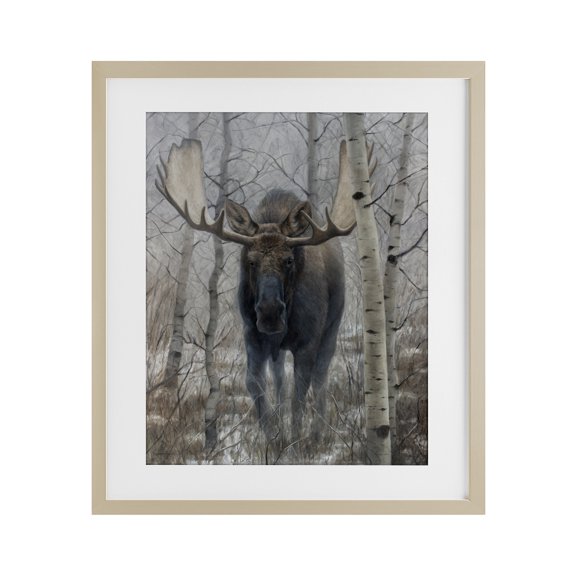 Stupell Industries Moose in Winter Birch Forest Birch Framed Print Under Glass, design by James Corwin