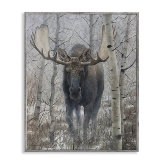 Stupell Industries Moose in Winter Birch Forest Gray Framed Giclee Art, design by James Corwin