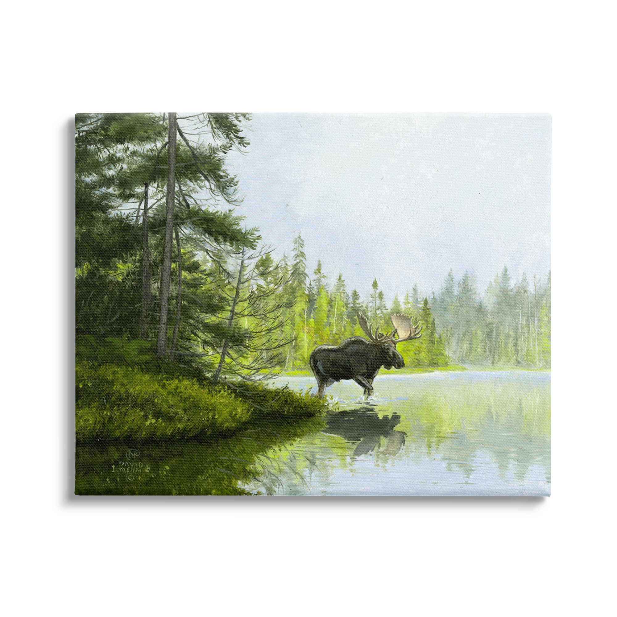 Stupell Industries Moose in Woodland Pond Nature Painting Gallery Wrapped Canvas Print Wall Art, 30 x 24