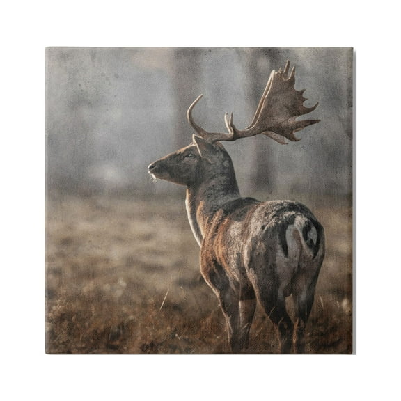 Stupell Industries Moose in Woodland Scene Animals & Insects Photography Gallery Wrapped Canvas Print Wall Art, 17 x 17