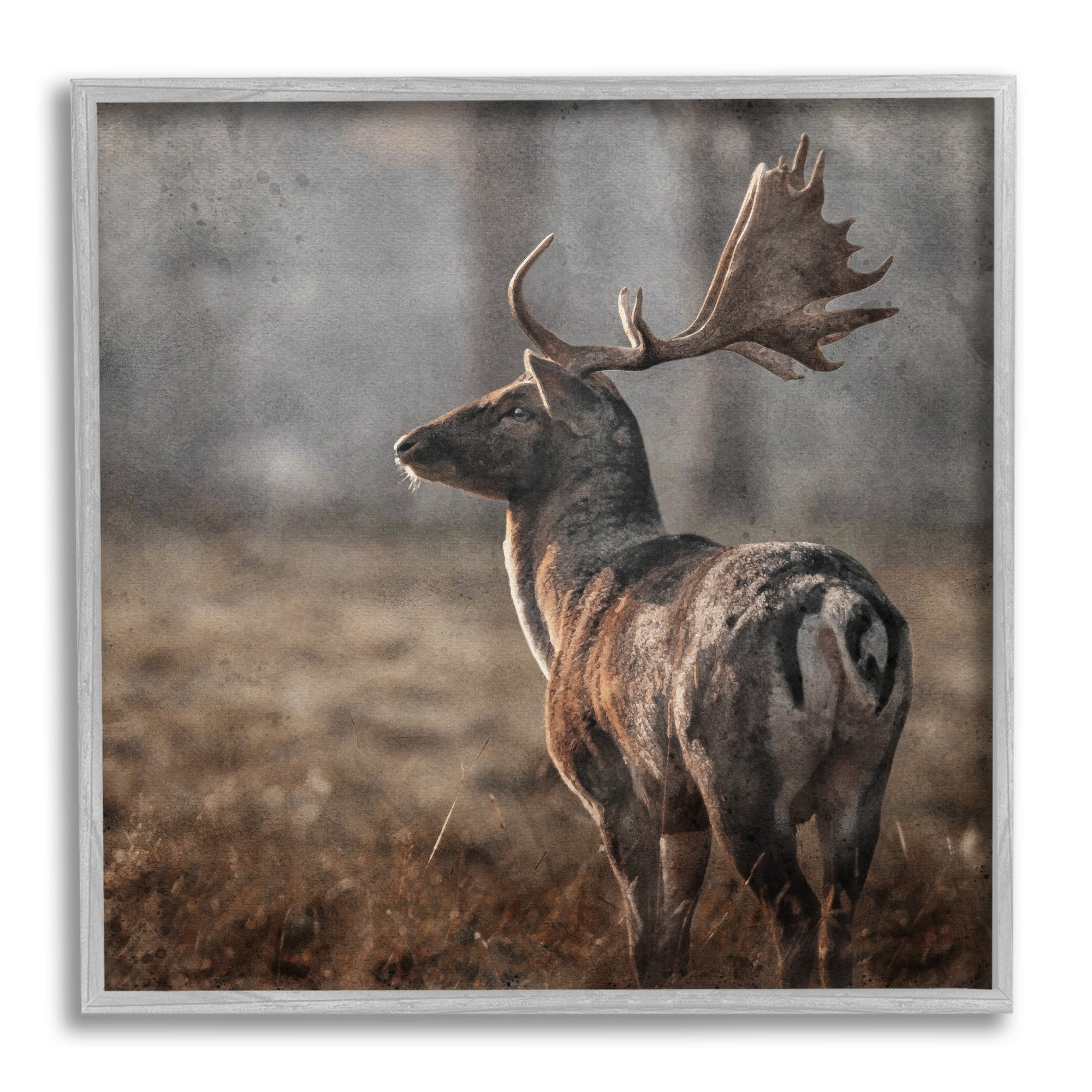 Stupell Industries Moose in Woodland Scene Animals & Insects Photography Gray Framed Art Print Wall Art, 12 x 12