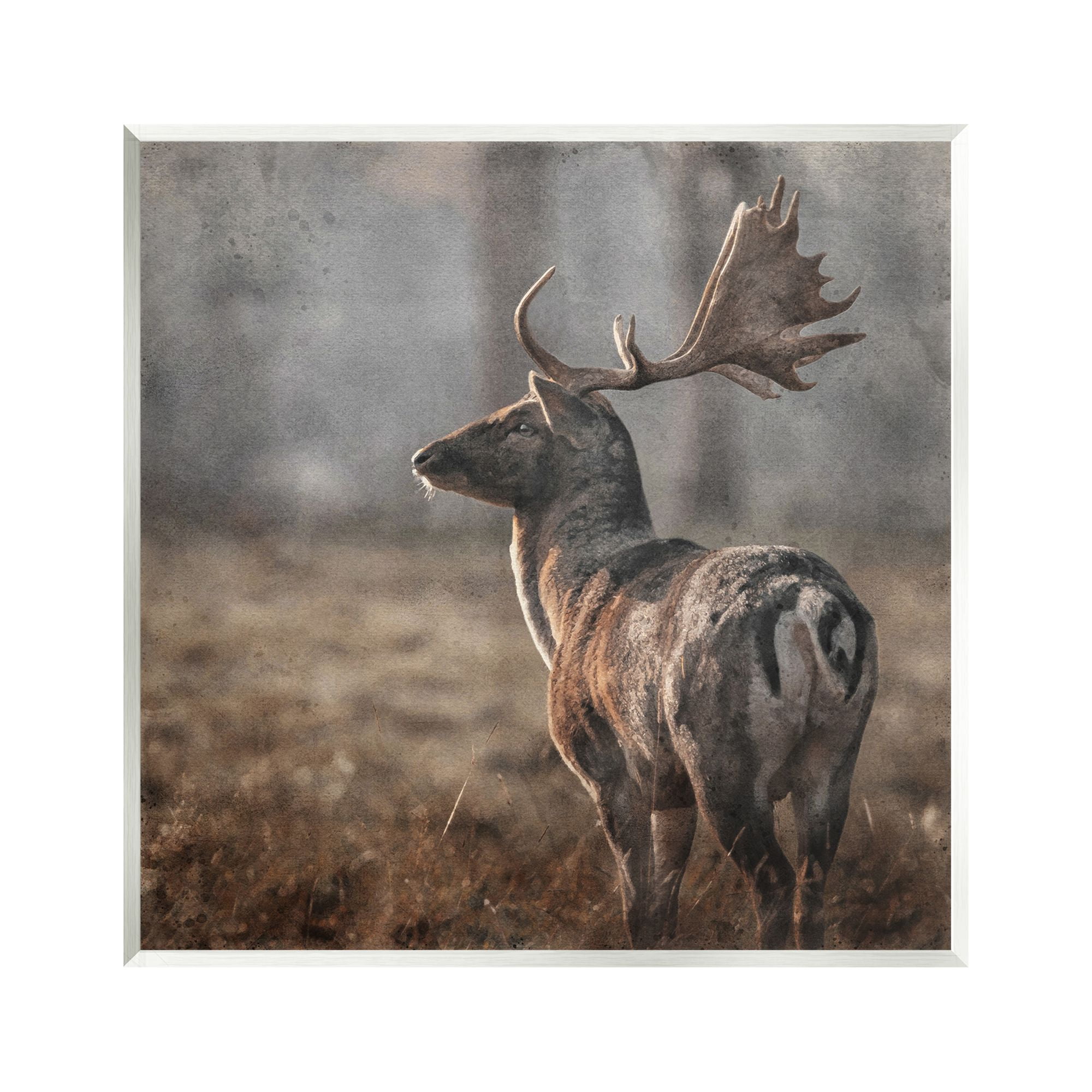 Stupell Industries Moose in Woodland Scene Animals & Insects Photography Unframed Art Print Wall Art, 12 x 12
