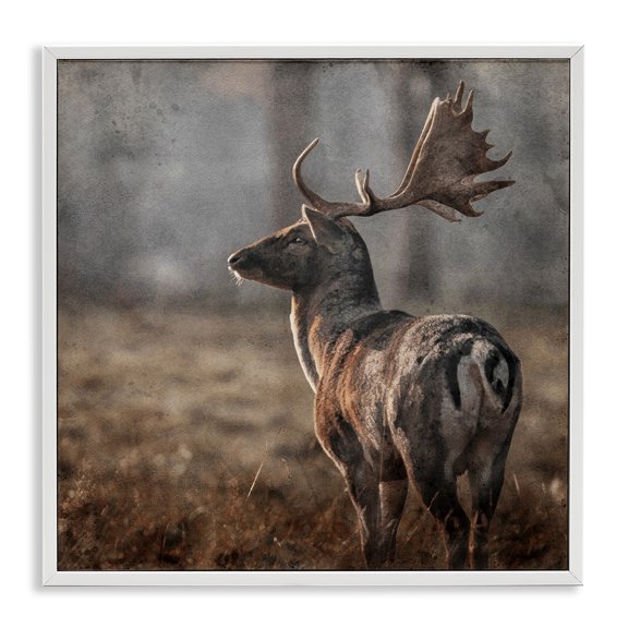 Stupell Industries Farmhouse Moose in Woodland Scene White Framed Giclee Art, 12 x 12, by LSR Design Studio
