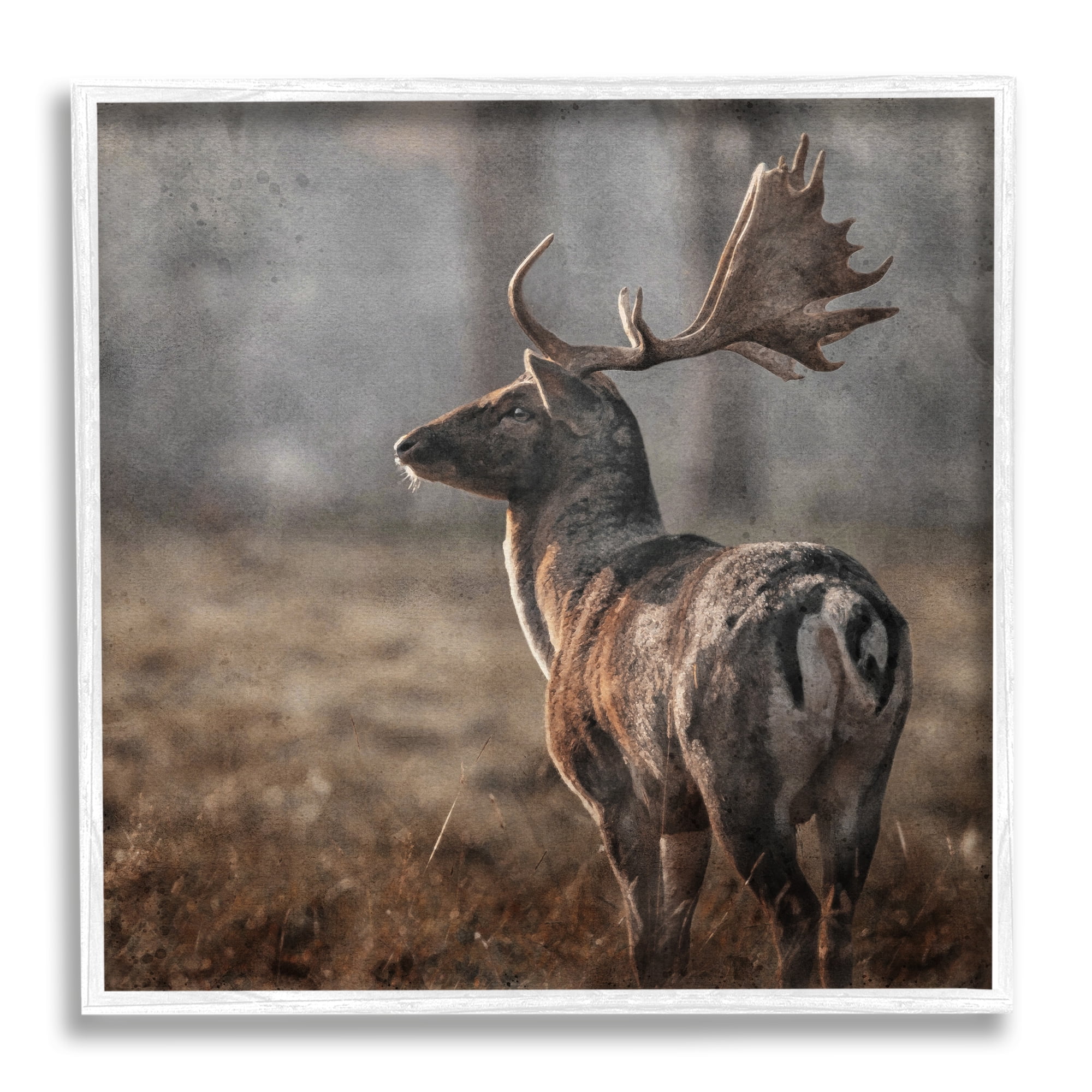 Stupell Industries Moose in Woodland Scene Animals & Insects Photography White Framed Art Print Wall Art, 24 x 24